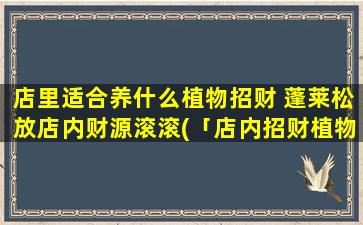 店里适合养什么植物招财 蓬莱松放店内财源滚滚(「店内招财植物推荐：以蓬莱松为中心，助力财源滚滚」)